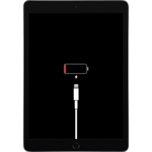 iPad Pro 12.9″ 5th Gen Charging Issue repair